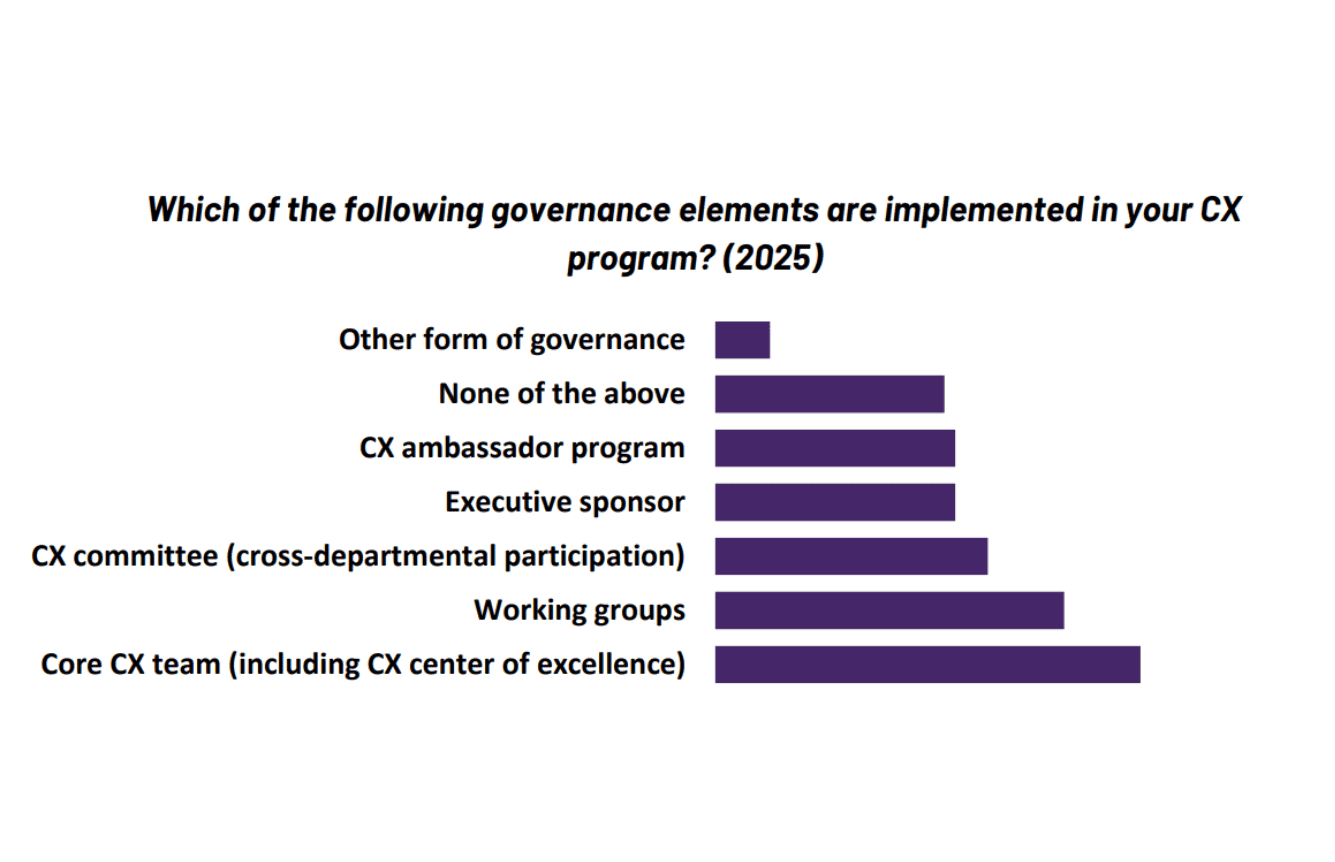 Which of the following governance elements are implemented in your CX program